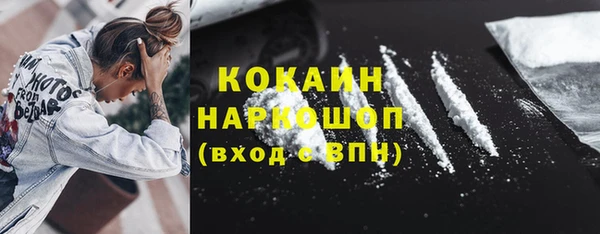 мет Алексин