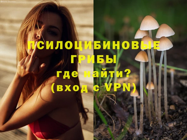 молекула духа Алексеевка
