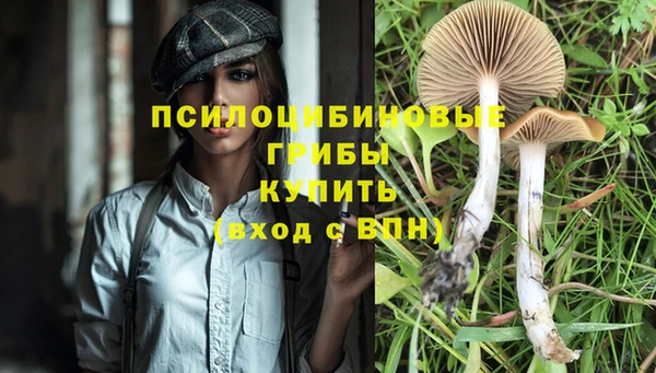 mix Абинск