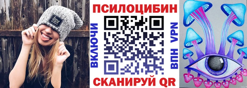 Галлюциногенные грибы Magic Shrooms  закладки  Новомичуринск 